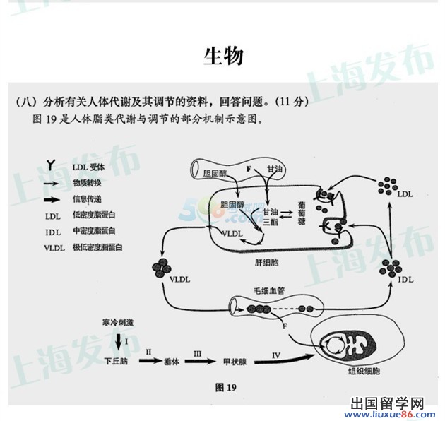 ★2014上海生物高考试题(部分)