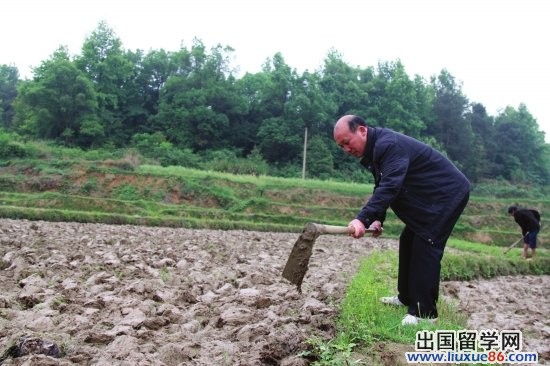 永州一公务员承包400亩农田被质疑“谋钱途”