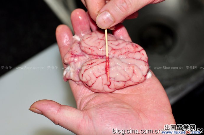 豆瓣脑花(热拌版)