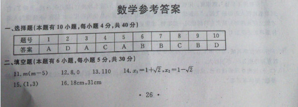 浙江温州2013年中考数学答案（图片版）