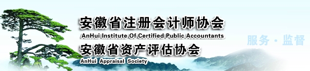 安徽省注册会计师协会