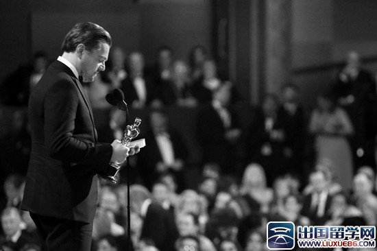 怎样获得2016年注册会计师奥斯卡奖项