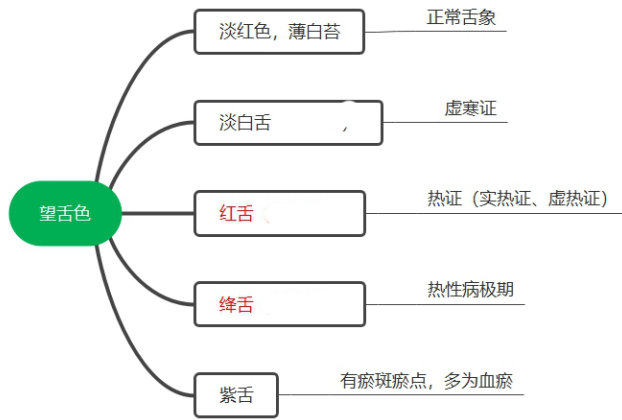 2022执业药师《中药综》高频考点：望诊—望舌色、舌形