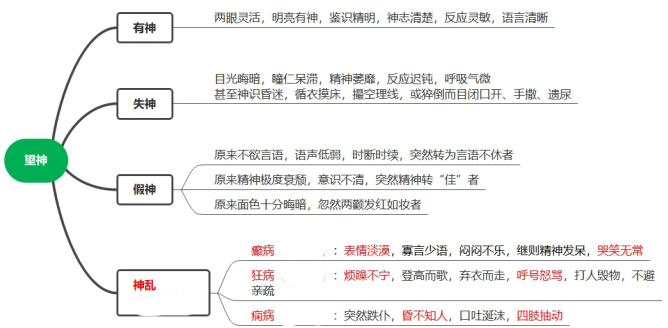 2022执业药师《中药综》高频考点：望诊—望神