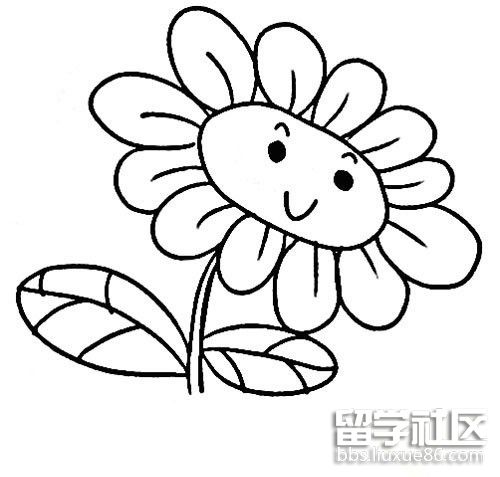 英语称之为sunflower却不是因为它的这一特性,因为其黄花开似太阳的