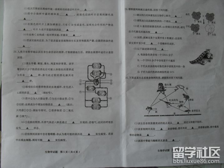 图片4.png 45b0eeb953038cfcb7fc5575588b1699.jpg