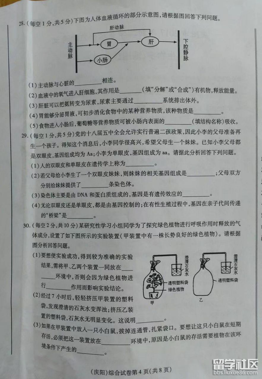 图片4.png 063803ab01a69c1b3b176637d786e9b0.jpg