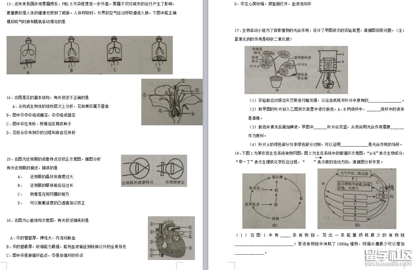 2.jpg f95ffb05559fc1e3eb98956b2065bcc1.jpg