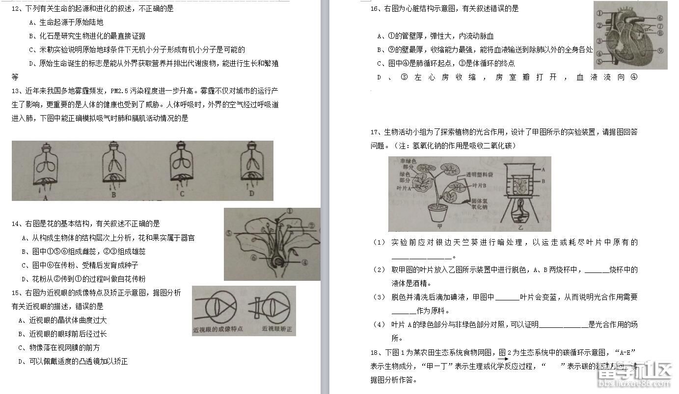 2.jpg 0ce2674e82d97799254ab7a0462724c9.jpg