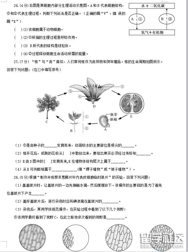 4.jpg 508faa72a790493caf894a87af2bdf69.jpg