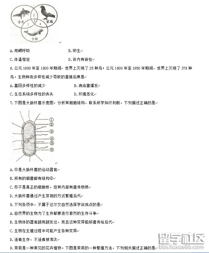 2.png 911ee5d8222a25d08afc45e9ef210881.jpg