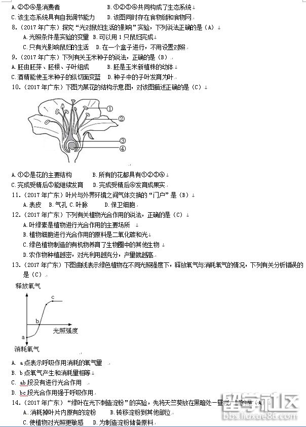 2.png f8883a8edf3484c51fa03e69d7dd7047.jpg