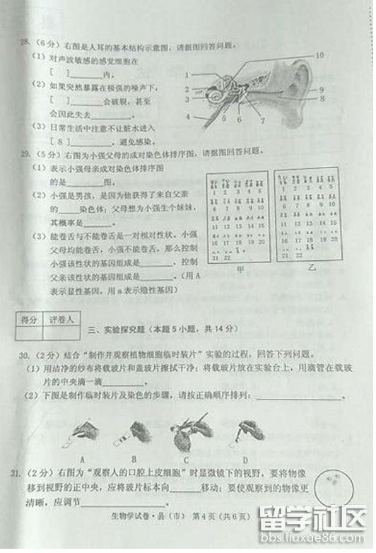 4.png 237e3953907f01c14fa96a88d099eb5a.jpg