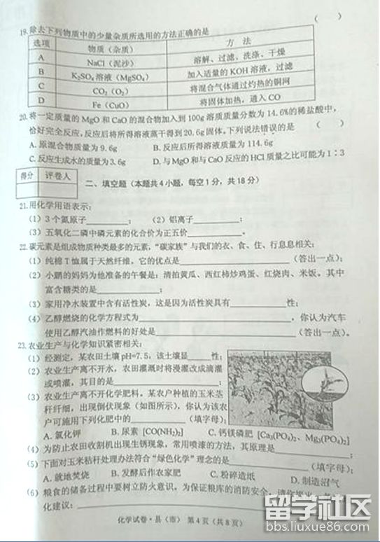 4.png 2e9e76a540b525b4beebfba278711b88.jpg