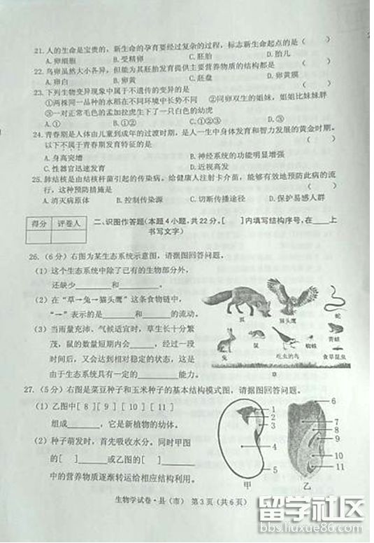 3.png 4b53fc662f6ec8a4a4a39110bb5e6e59.jpg