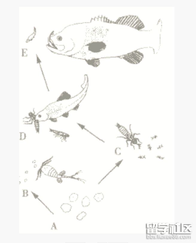 生态系统.png 生态系统.png