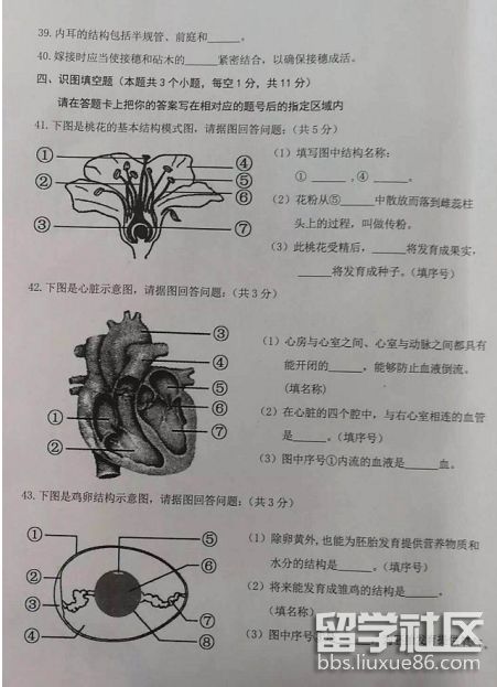 152944_5b3882e89eb12.png 152944_5b3882e89eb12.png