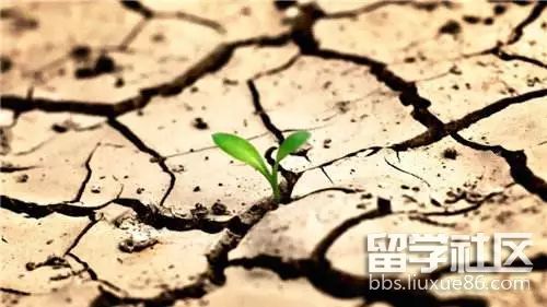 dd14dd933f354bac94af55c9e61bef06.jpeg dd14dd933f354bac94af55c9e61bef06.jpeg