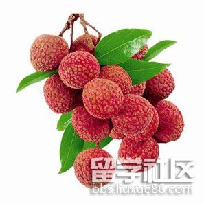 t0144d7763e9060fd44.jpg t0144d7763e9060fd44.jpg