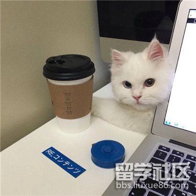 t01268ac7674a65aa94.jpg t01268ac7674a65aa94.jpg