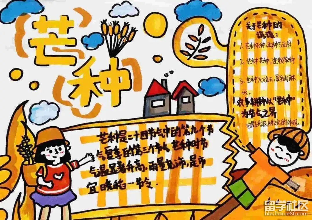 芒种节气手抄报