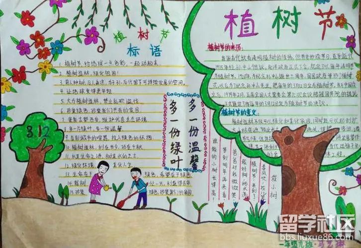 植树节的手抄报2024（2）.jpg