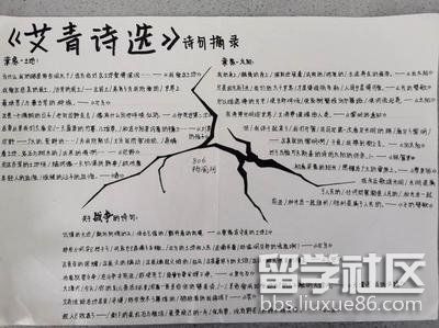 艾青诗选手抄报精美（3）.jpg